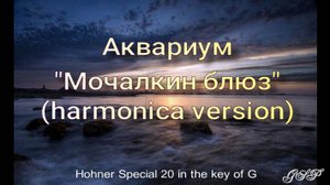 Аквариум "Мочалкин блюз" (версия для губной гармоники).
