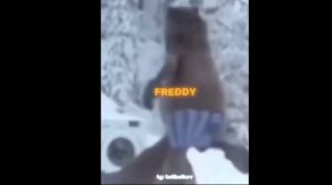 Фредди фазбер