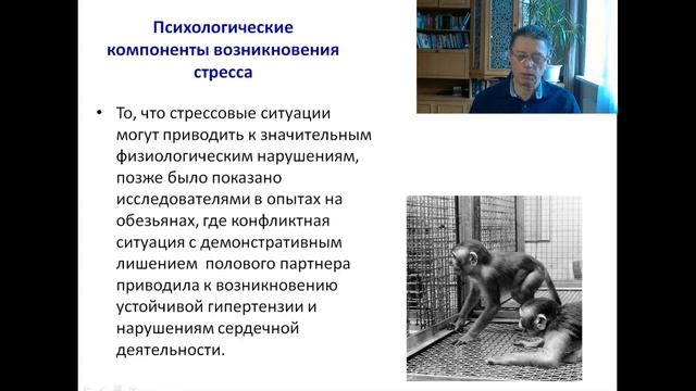 Психология стресса.  Лекция 1