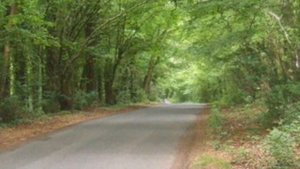 The Road Not Taken by Robert Frost