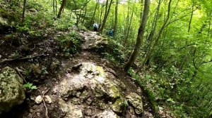 Адыгея. Ущелье Мишоко.