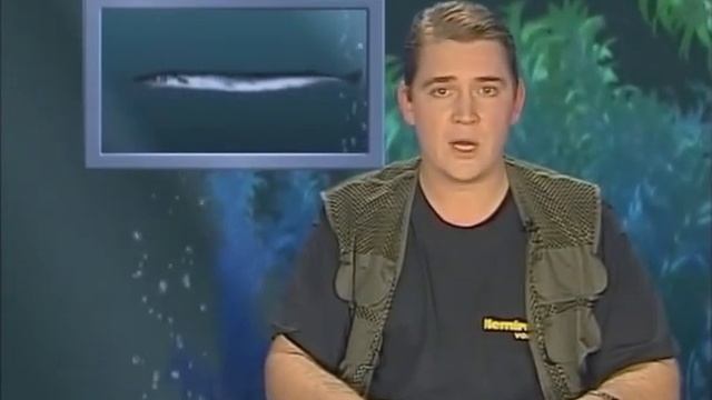 Сарган Обыкновенный. "Рыбьи Портреты".