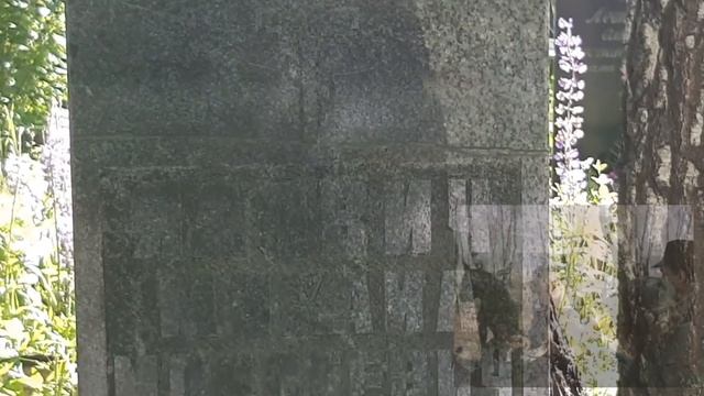 забытые могилы