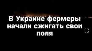 В У.КРАИНЕ ФЕРМЕРЫ СЖИГАЮТ СВ0И П0ЛЯ!