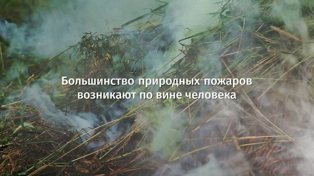 Недопущение лесных пожаров смотреть онлайн