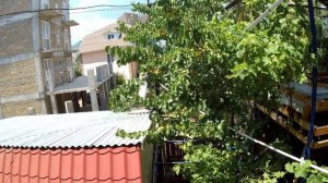 КРЫМ КУРОРТНОЕ  ГОСТЕВОЙ ДОМ ЭЛИНА