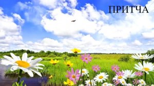 притча о мудреце и бабочке