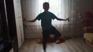 танец литвина