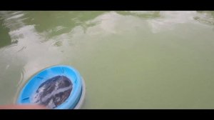 Перекись и соль в бассейне...