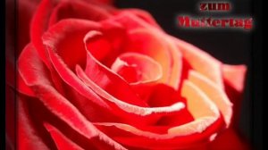 На улице тишина .wmv