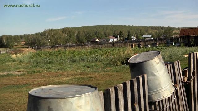 Большеустьинское