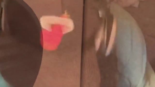 Запись песни Леонида Агутина «ELLA» смотреть онлайн