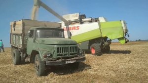Жнива 2018 Claas Lexion 460 & Зил ММЗ