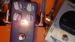 TC Electronic MojoMojo Paul Gilbert Signature Overdrive ( Metal Demo and review Boost gain channel