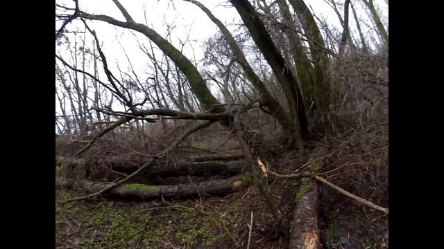 опёнок зимний в место рыбалки смотреть онлайн