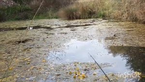 Охота и рыбалка в КБР !!! Находка озера с рыбой !!!