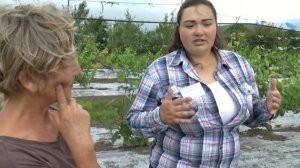 Плодовый питомник ЛПХ Макаревич. Занятие по агротехнике винограда. 30 июня 2018