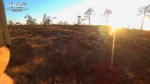 ОХОТА НА ГУСЯ 2021 ОСЕНЬ | СУПЕР НАЛЕТЫ | НА СЕВЕРЕ КАРЕЛИИ