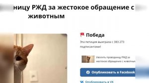 Трагическая судьба кота Твикса, которого выбросили из поезда