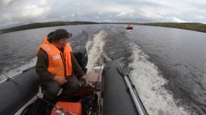 suzuki 40 против yamaha 20