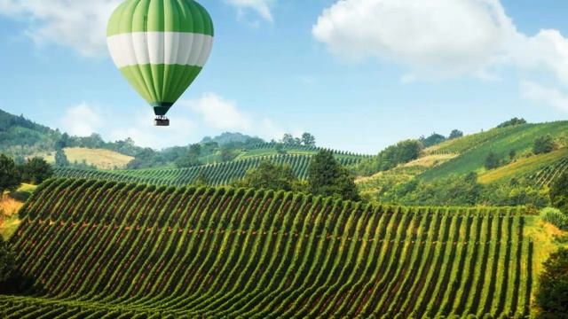 PanZoom: быстрая настройка анимации движения смотреть онлайн