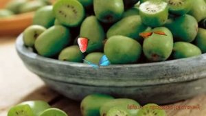 Актинидия аргута Киевская крупноплодная ? обзор: как сажать, саженцы актинидии