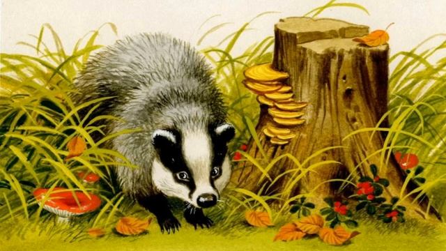 "Он как будто просил о помощи, но мы ничем не могли ему помочь." смотреть онлайн