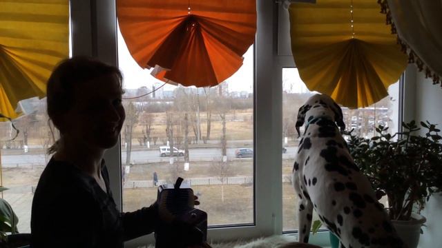 Далматинец Энрик запел :3 смотреть онлайн