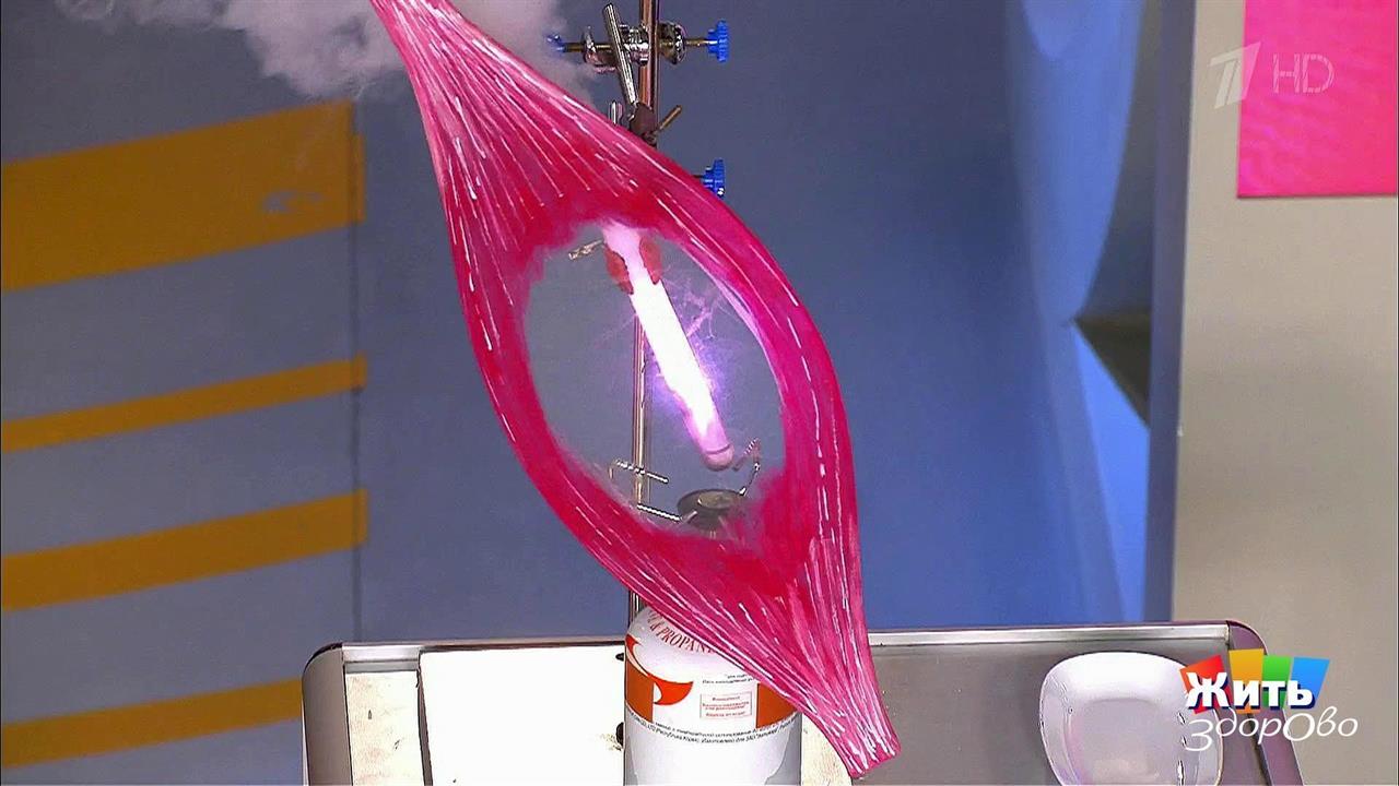 В автобусе лучше! Жить здорово! Фрагмент выпуска от 23.05.2017