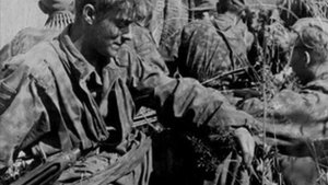 16. SS-Panzergrenadier-Division Reichsführer SS - episode 16, all waffen-SS divisions.