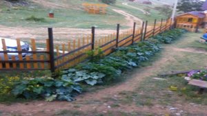 Guest Houses on Rodnye berega - Sarma - Russian Federation