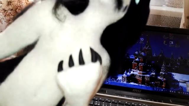 Обзор на Златогривого Аджани , Сёргала и Хитрого фляжки Лися. смотреть онлайн