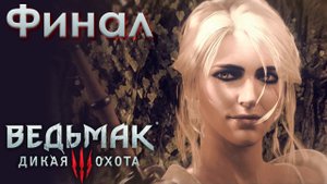 Хороший Финал. Ведьмак 3: Дикая Охота. (Игрофильм) # 24
