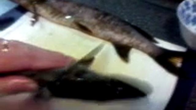 учимся чистить щуку. смотреть онлайн