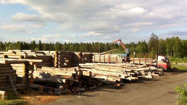 Срубы из сухостойной карельской сосны. ч10 смотреть онлайн