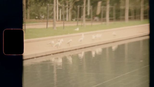 No. 9 Esther's Waltz - Esther Abrami (No Copyright) смотреть онлайн