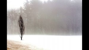 Сколько раз с ума нужно сойти.