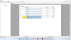 Text Missing or Cut On Crystal Reports