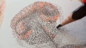 рисунок вельш корги пемброк