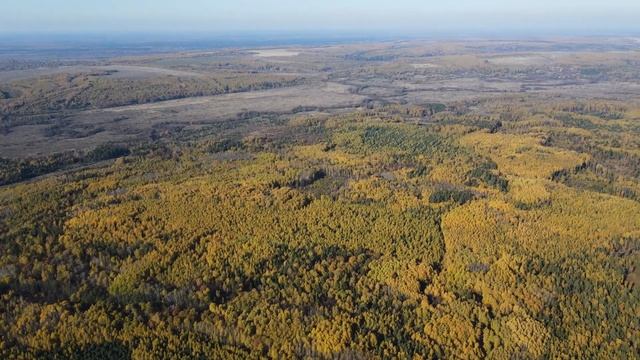 Полет над муромским лесом. DJI mavic air 2 смотреть онлайн