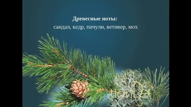 Вебинар «Долгожданные новинки TianDe» смотреть онлайн