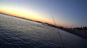 rockfish 2016 Сочи рыбалка в сентябре Игорь Зинковский