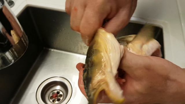 Karpfen blau zubereiten und kochen nach Omas Rezept смотреть онлайн