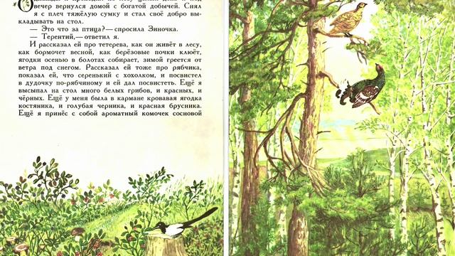 Пришвин М. - Золотой луг - Лисичкин хлеб смотреть онлайн