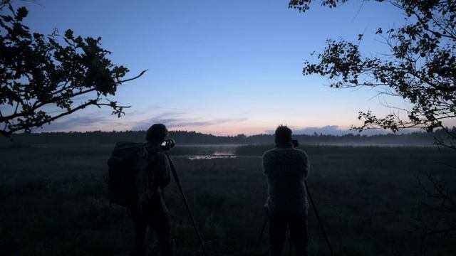 4 days Nature Photography and Wild Camping | the cameras, lenses and outdoor equipment in my bag смотреть онлайн