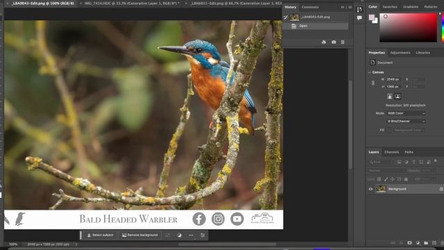 Adobe Photoshop Beta version 24.6.0 with AI Generative feature