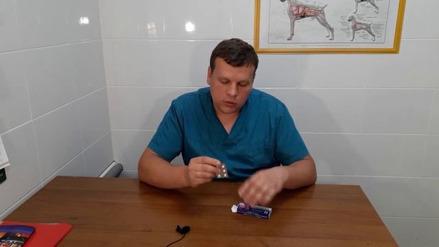 КАК ПОМОЧЬ ПИТОМЦУ ПРИ ВИРУСНОЙ ИНФЕКЦИИ?