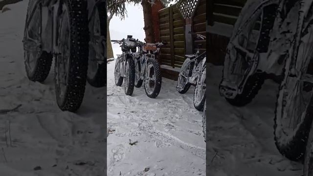 #велосипед #mtb #снег #eis #fatbike #fatbikeride #fatbikervaibhav #shortvideo #kingbike #велоюз