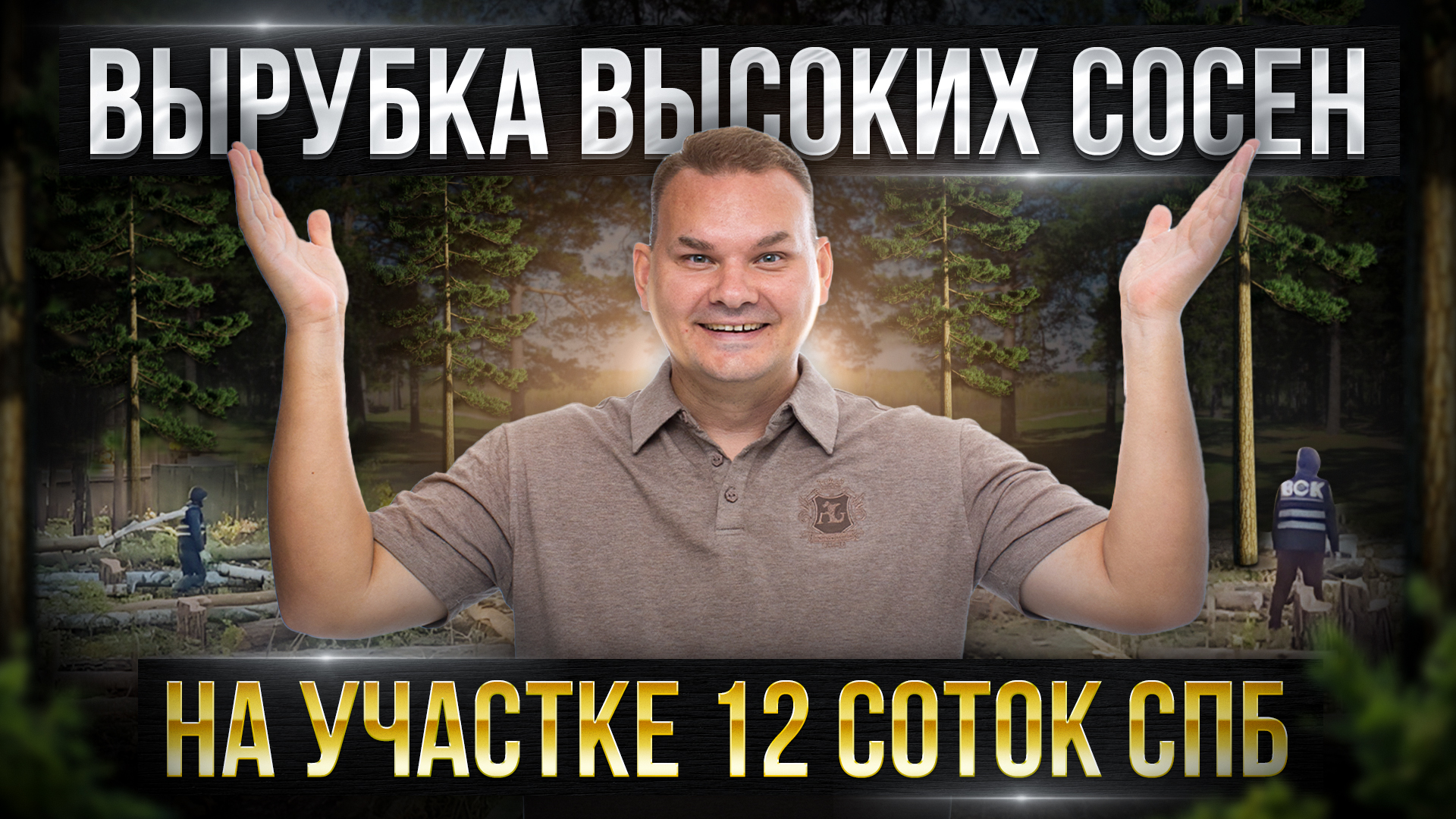 Вырубка ВЫСОКИХ СОСЕН на участке 12 соток / Деревья в 50 метров высоту / Ленинградская область