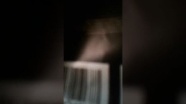 Кто такие шиншиллы?Как за ними ухаживать?(видео про шиншилл часть 1)